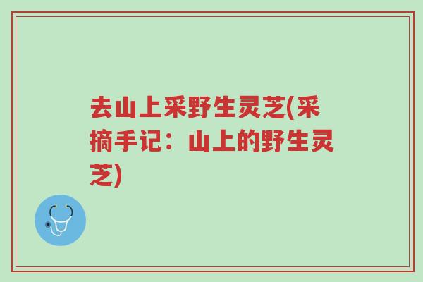 去山上采野生灵芝(采摘手记:山上的野生灵芝)-第1张图片-超越 去山上采野生灵芝(采摘手记:山上的野生灵芝)-第1张图片-超越