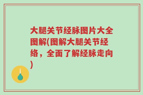 大腿关节经脉图片大全图解(图解大腿关节经络,全面了解经脉走向)-第1张图片-超越 大腿关节经脉图片大全图解(图解大腿关节经络,全面了解经脉走向)-第1张图片-超越