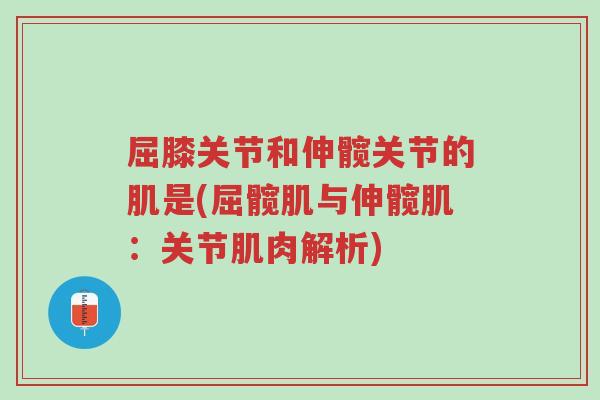 屈膝关节和伸髋关节的肌是(屈髋肌与伸髋肌:关节肌肉解析)-第1张图片-超越 屈膝关节和伸髋关节的肌是(屈髋肌与伸髋肌:关节肌肉解析)-第1张图片-超越