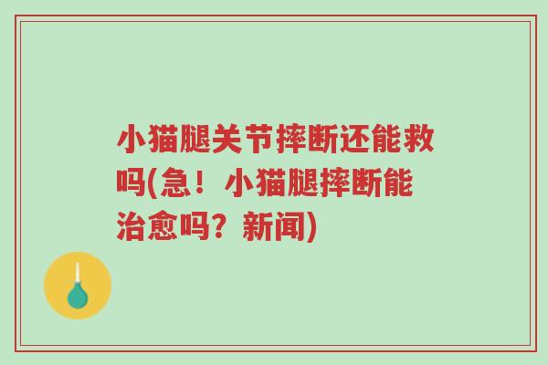 小猫腿关节摔断还能救吗(急!小猫腿摔断能治愈吗?新闻)-第1张图片-超越 小猫腿关节摔断还能救吗(急!小猫腿摔断能治愈吗?新闻)-第1张图片-超越