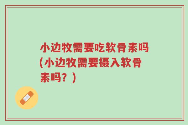 小边牧需要吃软骨素吗(小边牧需要摄入软骨素吗?)-第1张图片-超越 小边牧需要吃软骨素吗(小边牧需要摄入软骨素吗?)-第1张图片-超越