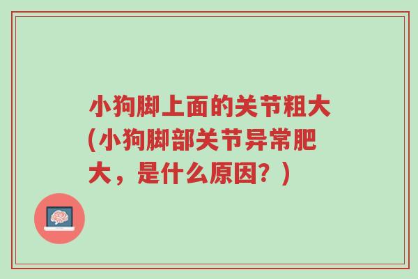 小狗脚上面的关节粗大(小狗脚部关节异常肥大,是什么原因?)-第1张图片-超越 小狗脚上面的关节粗大(小狗脚部关节异常肥大,是什么原因?)-第1张图片-超越