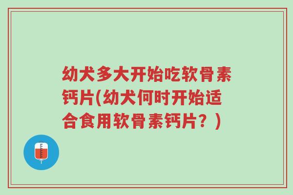 幼犬多大开始吃软骨素钙片(幼犬何时开始适合食用软骨素钙片?)-第1张图片-超越 幼犬多大开始吃软骨素钙片(幼犬何时开始适合食用软骨素钙片?)-第1张图片-超越