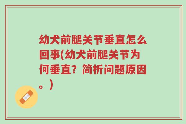 幼犬前腿关节垂直怎么回事(幼犬前腿关节为何垂直?简析问题原因。)-第1张图片-超越 幼犬前腿关节垂直怎么回事(幼犬前腿关节为何垂直?简析问题原因。)-第1张图片-超越