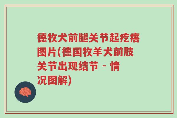 德牧犬前腿关节起疙瘩图片(德国牧羊犬前肢关节出现结节 - 情况图解)-第1张图片-超越