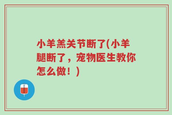小羊羔关节断了(小羊腿断了,宠物医生教你怎么做!)-第1张图片-超越 小羊羔关节断了(小羊腿断了,宠物医生教你怎么做!)-第1张图片-超越