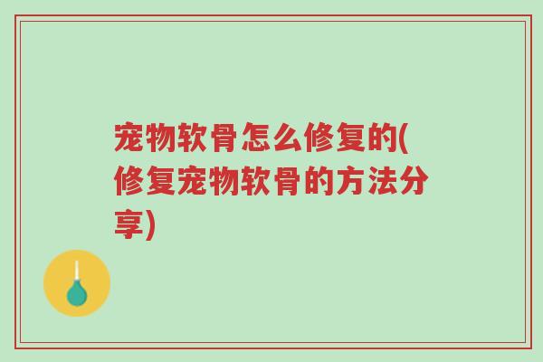 宠物软骨怎么修复的(修复宠物软骨的方法分享)-第1张图片-超越 宠物软骨怎么修复的(修复宠物软骨的方法分享)-第1张图片-超越