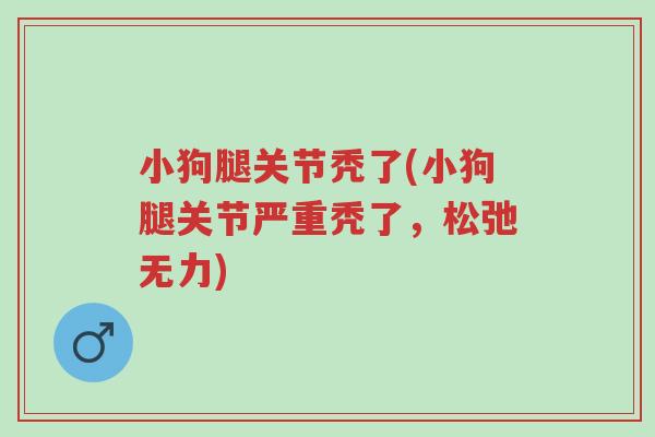 小狗腿关节秃了(小狗腿关节严重秃了,松弛无力)-第1张图片-超越 小狗腿关节秃了(小狗腿关节严重秃了,松弛无力)-第1张图片-超越
