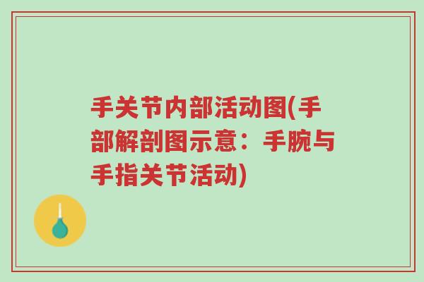 手关节内部活动图(手部解剖图示意:手腕与手指关节活动)-第1张图片-超越 手关节内部活动图(手部解剖图示意:手腕与手指关节活动)-第1张图片-超越