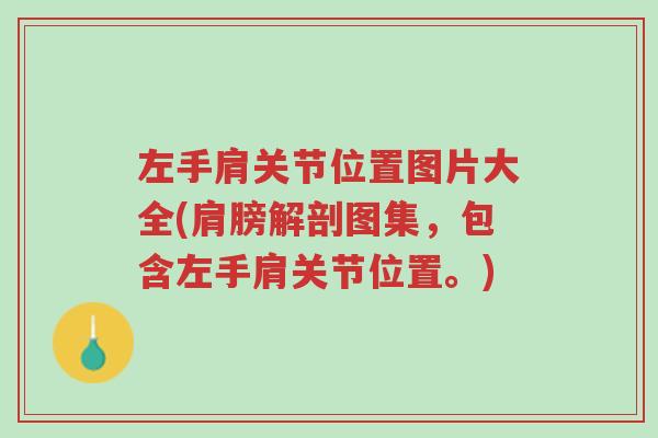 左手肩关节位置图片大全(肩膀解剖图集，包含左手肩关节位置。)-第1张图片-超越