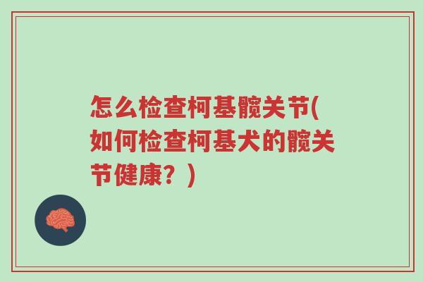 怎么检查柯基髋关节(如何检查柯基犬的髋关节健康?)-第1张图片-超越 怎么检查柯基髋关节(如何检查柯基犬的髋关节健康?)-第1张图片-超越