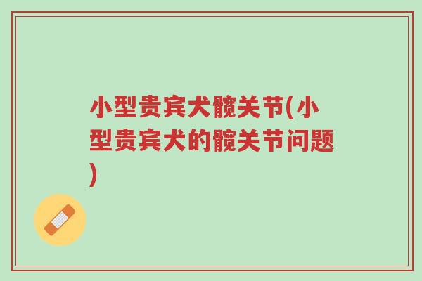 小型贵宾犬髋关节(小型贵宾犬的髋关节问题)-第1张图片-超越 小型贵宾犬髋关节(小型贵宾犬的髋关节问题)-第1张图片-超越