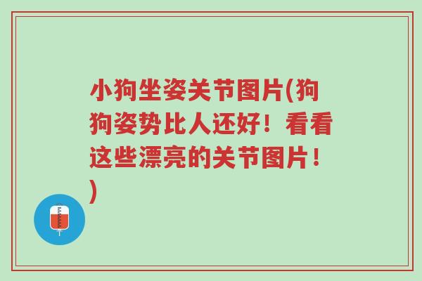 小狗坐姿关节图片(狗狗姿势比人还好!看看这些漂亮的关节图片!)-第1张图片-超越 小狗坐姿关节图片(狗狗姿势比人还好!看看这些漂亮的关节图片!)-第1张图片-超越