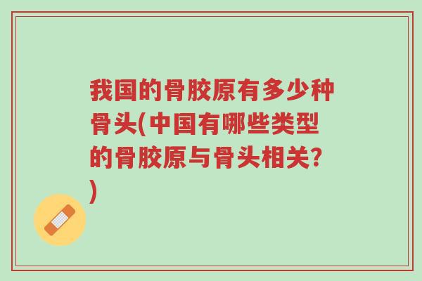 我国的骨胶原有多少种骨头(中国有哪些类型的骨胶原与骨头相关?)-第1张图片-超越 我国的骨胶原有多少种骨头(中国有哪些类型的骨胶原与骨头相关?)-第1张图片-超越