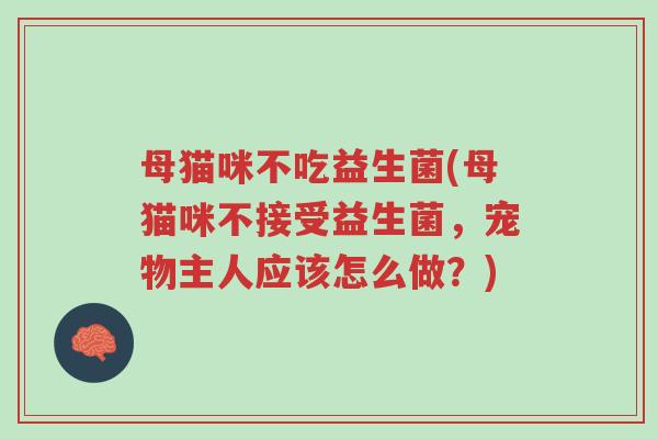 母猫咪不吃益生菌(母猫咪不接受益生菌,宠物主人应该怎么做?)-第1张图片-超越 母猫咪不吃益生菌(母猫咪不接受益生菌,宠物主人应该怎么做?)-第1张图片-超越