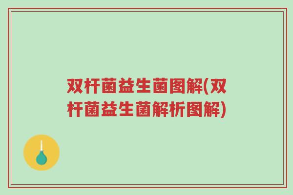 双杆菌益生菌图解(双杆菌益生菌解析图解)-第1张图片-超越 双杆菌益生菌图解(双杆菌益生菌解析图解)-第1张图片-超越