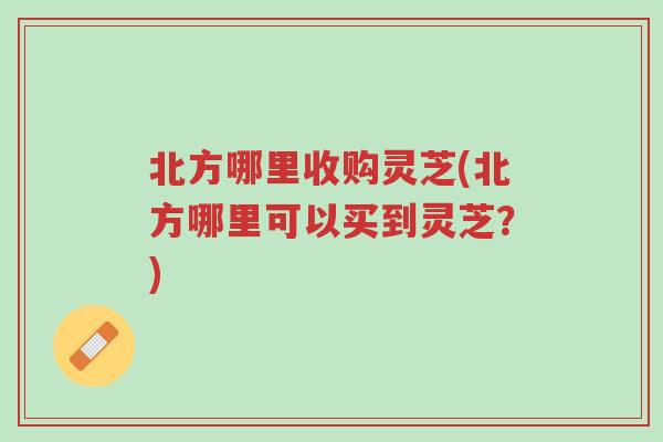北方哪里收购灵芝(北方哪里可以买到灵芝?)-第1张图片-超越 北方哪里收购灵芝(北方哪里可以买到灵芝?)-第1张图片-超越