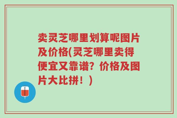 卖灵芝哪里划算呢图片及价格(灵芝哪里卖得便宜又靠谱?价格及图片大比拼!)-第1张图片-超越 卖灵芝哪里划算呢图片及价格(灵芝哪里卖得便宜又靠谱?价格及图片大比拼!)-第1张图片-超越