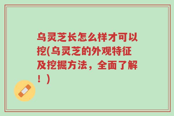 乌灵芝长怎么样才可以挖(乌灵芝的外观特征及挖掘方法,全面了解!)-第1张图片-超越 乌灵芝长怎么样才可以挖(乌灵芝的外观特征及挖掘方法,全面了解!)-第1张图片-超越