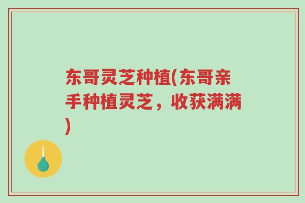 东哥灵芝种植(东哥亲手种植灵芝,收获满满)-第1张图片-超越 东哥灵芝种植(东哥亲手种植灵芝,收获满满)-第1张图片-超越