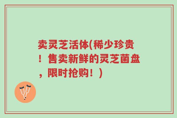 卖灵芝活体(稀少珍贵!售卖新鲜的灵芝菌盘,限时抢购!)-第1张图片-超越 卖灵芝活体(稀少珍贵!售卖新鲜的灵芝菌盘,限时抢购!)-第1张图片-超越