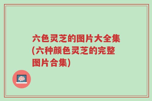 六色灵芝的图片大全集(六种颜色灵芝的完整图片合集)-第1张图片-超越 六色灵芝的图片大全集(六种颜色灵芝的完整图片合集)-第1张图片-超越