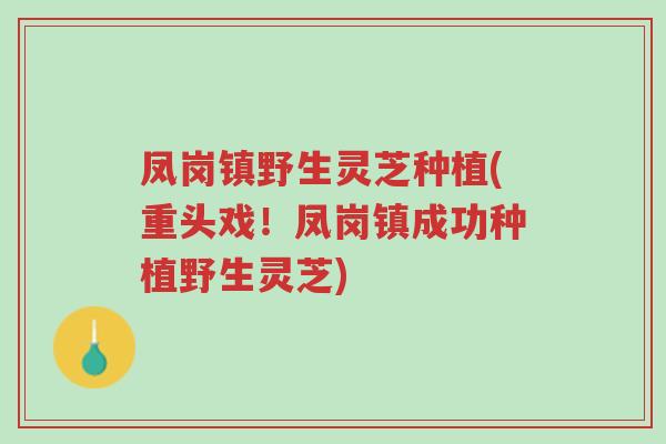 凤岗镇野生灵芝种植(重头戏!凤岗镇成功种植野生灵芝)-第1张图片-超越 凤岗镇野生灵芝种植(重头戏!凤岗镇成功种植野生灵芝)-第1张图片-超越