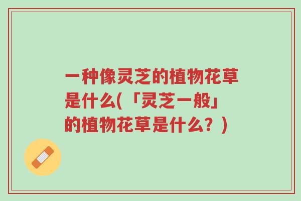 一种像灵芝的植物花草是什么(「灵芝一般」的植物花草是什么?)-第1张图片-超越 一种像灵芝的植物花草是什么(「灵芝一般」的植物花草是什么?)-第1张图片-超越