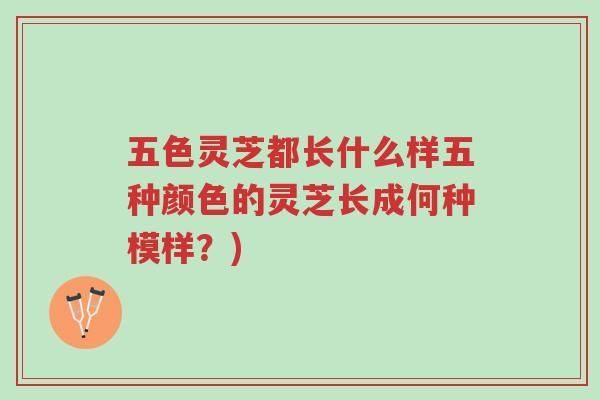 五色灵芝都长什么样五种颜色的灵芝长成何种模样?)-第1张图片-超越 五色灵芝都长什么样五种颜色的灵芝长成何种模样?)-第1张图片-超越