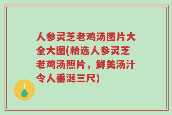 人参灵芝老鸡汤图片大全大图(精选人参灵芝老鸡汤照片,鲜美汤汁令人垂涎三尺)-第1张图片-超越 人参灵芝老鸡汤图片大全大图(精选人参灵芝老鸡汤照片,鲜美汤汁令人垂涎三尺)-第1张图片-超越