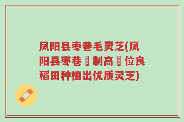 凤阳县枣巷毛灵芝(凤阳县枣巷採制高鐵位良稻田种植出优质灵芝)-第1张图片-超越 凤阳县枣巷毛灵芝(凤阳县枣巷採制高鐵位良稻田种植出优质灵芝)-第1张图片-超越