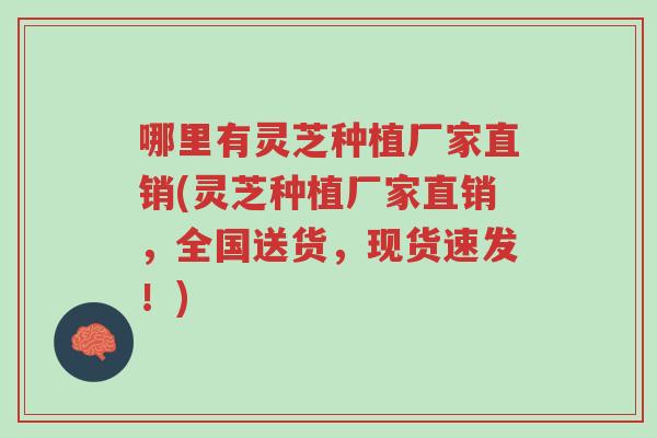 哪里有灵芝种植厂家直销(灵芝种植厂家直销，全国送货，现货速发！)-第1张图片-超越