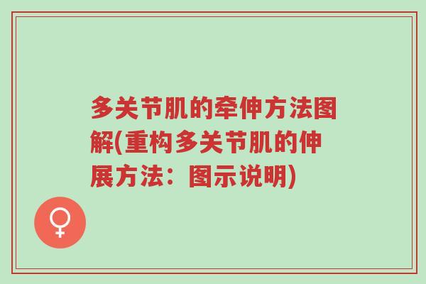 多关节肌的牵伸方法图解(重构多关节肌的伸展方法:图示说明)-第1张图片-超越 多关节肌的牵伸方法图解(重构多关节肌的伸展方法:图示说明)-第1张图片-超越