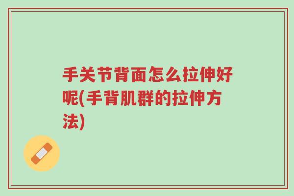 手关节背面怎么拉伸好呢(手背肌群的拉伸方法)-第1张图片-超越