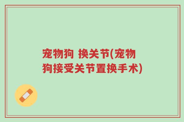 宠物狗 换关节(宠物狗接受关节置换手术)-第1张图片-超越 宠物狗 换关节(宠物狗接受关节置换手术)-第1张图片-超越