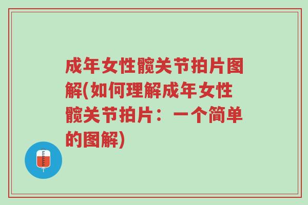 成年女性髋关节拍片图解(如何理解成年女性髋关节拍片:一个简单的图解)-第1张图片-超越 成年女性髋关节拍片图解(如何理解成年女性髋关节拍片:一个简单的图解)-第1张图片-超越