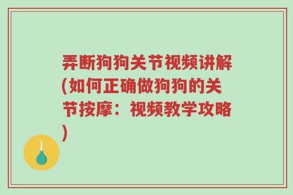 弄断狗狗关节视频讲解(如何正确做狗狗的关节按摩:视频教学攻略)-第1张图片-超越 弄断狗狗关节视频讲解(如何正确做狗狗的关节按摩:视频教学攻略)-第1张图片-超越