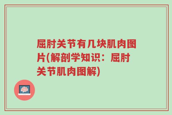 屈肘关节有几块肌肉图片(解剖学知识:屈肘关节肌肉图解)-第1张图片-超越 屈肘关节有几块肌肉图片(解剖学知识:屈肘关节肌肉图解)-第1张图片-超越