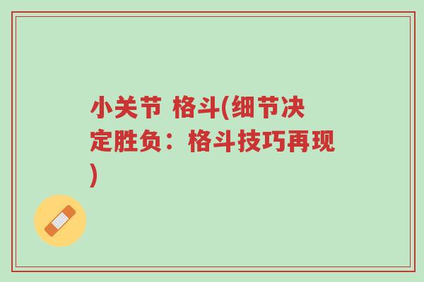小关节 格斗(细节决定胜负:格斗技巧再现)-第1张图片-超越 小关节 格斗(细节决定胜负:格斗技巧再现)-第1张图片-超越