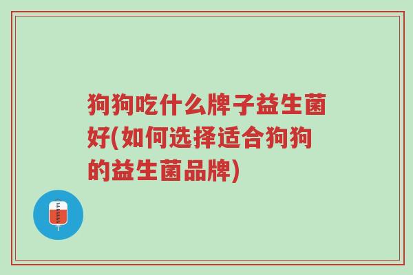 狗狗吃什么牌子益生菌好(如何选择适合狗狗的益生菌品牌)-第1张图片-超越 狗狗吃什么牌子益生菌好(如何选择适合狗狗的益生菌品牌)-第1张图片-超越