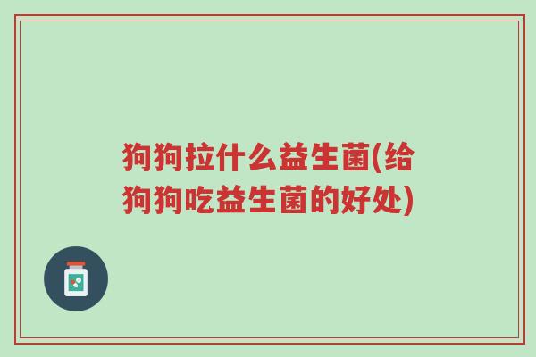 狗狗拉什么益生菌(给狗狗吃益生菌的好处)-第1张图片-超越 狗狗拉什么益生菌(给狗狗吃益生菌的好处)-第1张图片-超越
