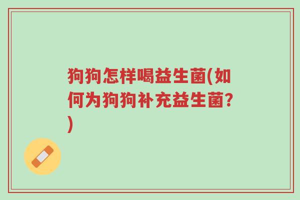 狗狗怎样喝益生菌(如何为狗狗补充益生菌?)-第1张图片-超越 狗狗怎样喝益生菌(如何为狗狗补充益生菌?)-第1张图片-超越