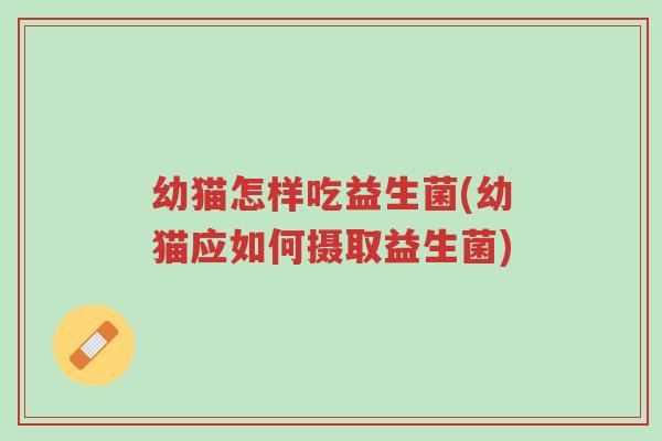幼猫怎样吃益生菌(幼猫应如何摄取益生菌)-第1张图片-超越 幼猫怎样吃益生菌(幼猫应如何摄取益生菌)-第1张图片-超越