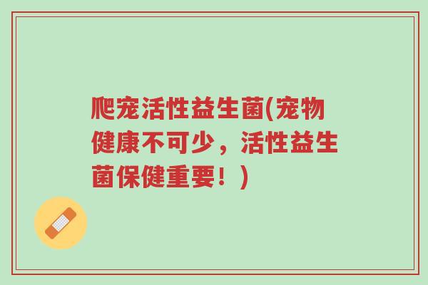 爬宠活性益生菌(宠物健康不可少，活性益生菌保健重要！)-第1张图片-超越