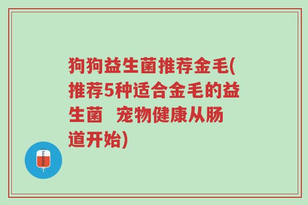 狗狗益生菌推荐金毛(推荐5种适合金毛的益生菌 宠物健康从肠道开始)-第1张图片-超越 狗狗益生菌推荐金毛(推荐5种适合金毛的益生菌 宠物健康从肠道开始)-第1张图片-超越