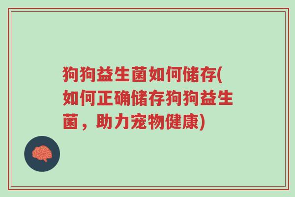 狗狗益生菌如何储存(如何正确储存狗狗益生菌,助力宠物健康)-第1张图片-超越 狗狗益生菌如何储存(如何正确储存狗狗益生菌,助力宠物健康)-第1张图片-超越