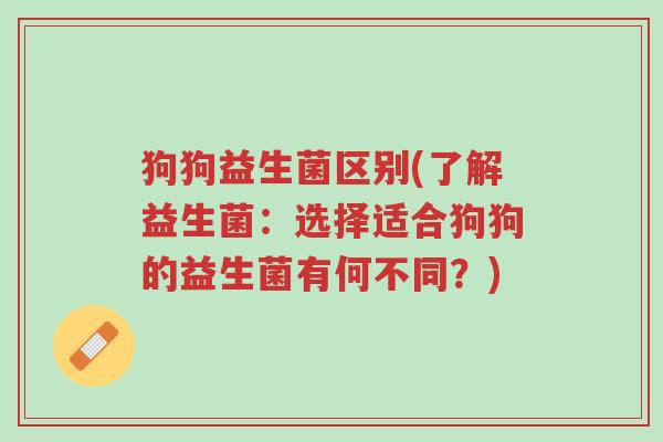 狗狗益生菌区别(了解益生菌：选择适合狗狗的益生菌有何不同？)-第1张图片-超越
