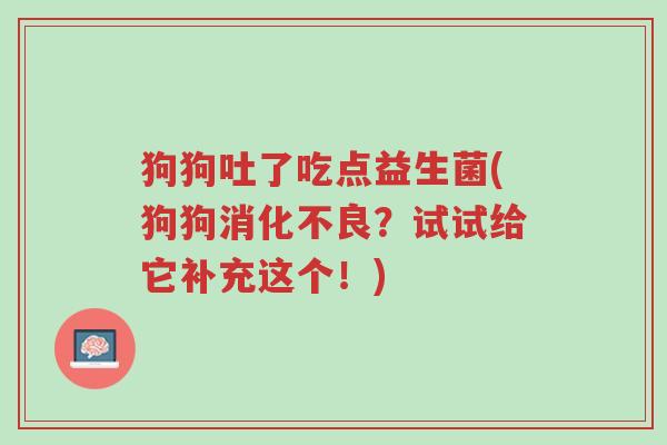 狗狗吐了吃点益生菌(狗狗消化不良?试试给它补充这个!)-第1张图片-超越 狗狗吐了吃点益生菌(狗狗消化不良?试试给它补充这个!)-第1张图片-超越