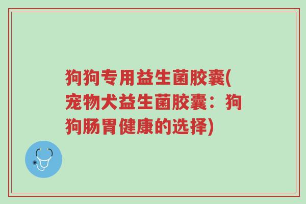 狗狗专用益生菌胶囊(宠物犬益生菌胶囊:狗狗肠胃健康的选择)-第1张图片-超越 狗狗专用益生菌胶囊(宠物犬益生菌胶囊:狗狗肠胃健康的选择)-第1张图片-超越