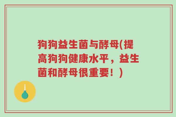 狗狗益生菌与酵母(提高狗狗健康水平,益生菌和酵母很重要!)-第1张图片-超越 狗狗益生菌与酵母(提高狗狗健康水平,益生菌和酵母很重要!)-第1张图片-超越